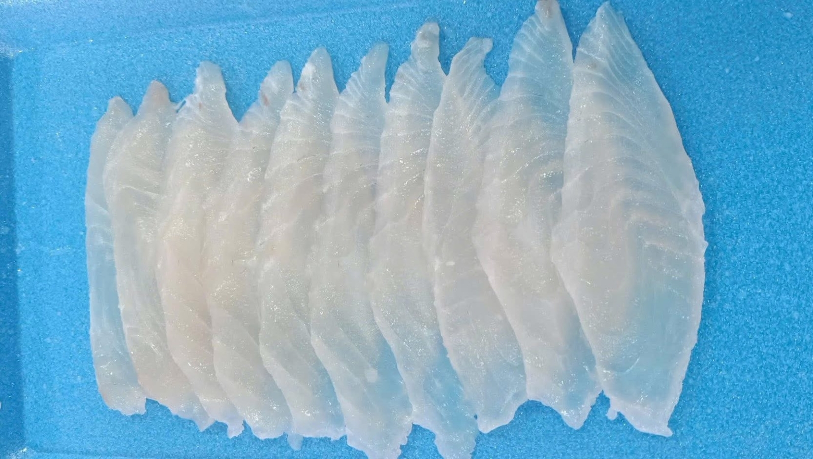 TILAPIA SASHIMI