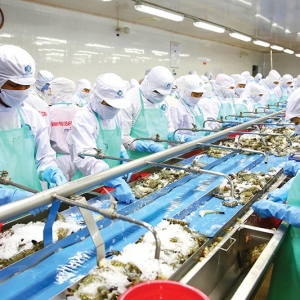 good-growth-in-vn-shrimp-exports-at-the-beginning-of-the-year