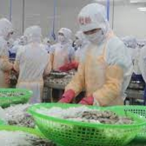 vietnam-sees-a-favorable-opportunity-for-shrimp-exports-after-covid-19