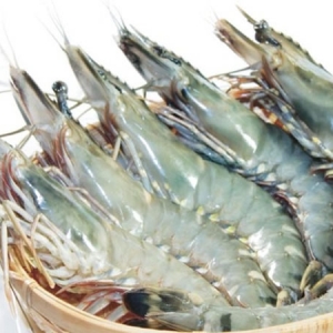 up-185-in-vietnam-shrimp-exports