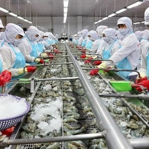 opportunities-and-challenges-ahead-for-vietnams-seafood-industry-in-2025