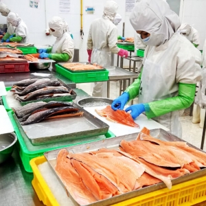 outsourced-processing-of-seafood-products