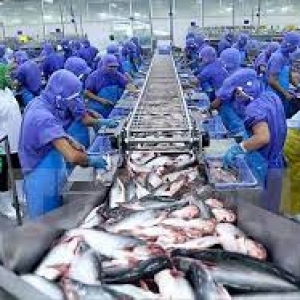 asean-continues-to-be-a-potential-market-of-vietnam-pangasius