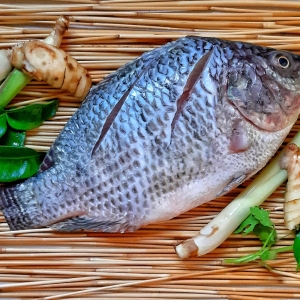 market-news-update-at-seafood-global-limited-us-investment-boosts-vietnams-tilapia-ambitions