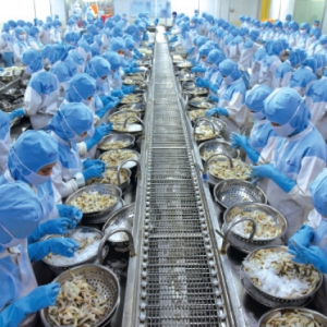 a-turbulent-year-for-the-global-seafood-market