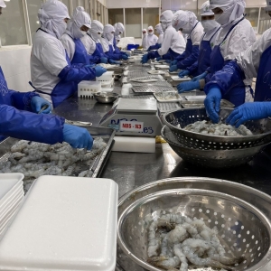 expectations-of-seafood-export-recovery